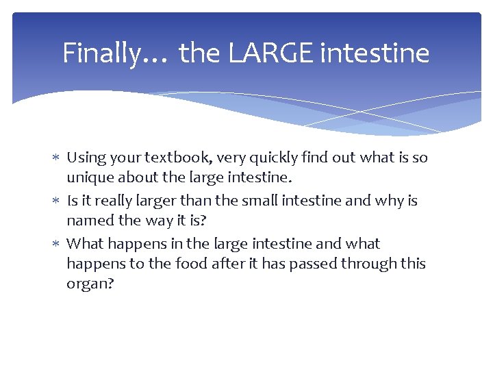 Finally… the LARGE intestine Using your textbook, very quickly find out what is so