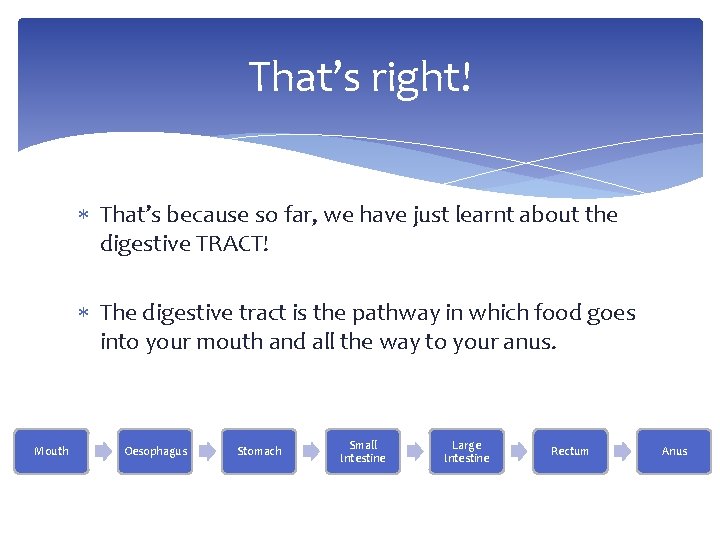 That’s right! That’s because so far, we have just learnt about the digestive TRACT!