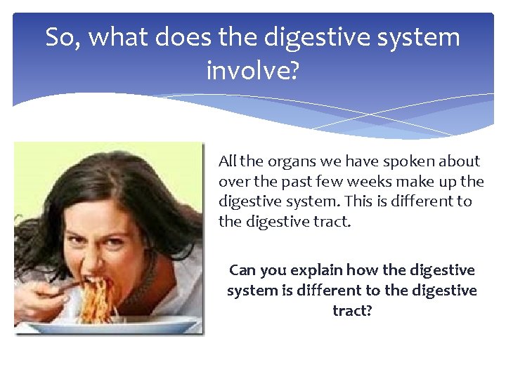 So, what does the digestive system involve? All the organs we have spoken about
