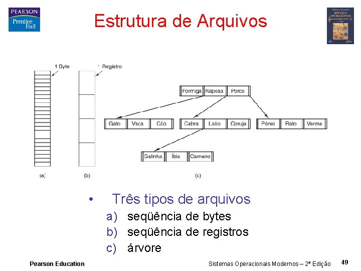 Estrutura de Arquivos • Três tipos de arquivos a) seqüência de bytes b) seqüência