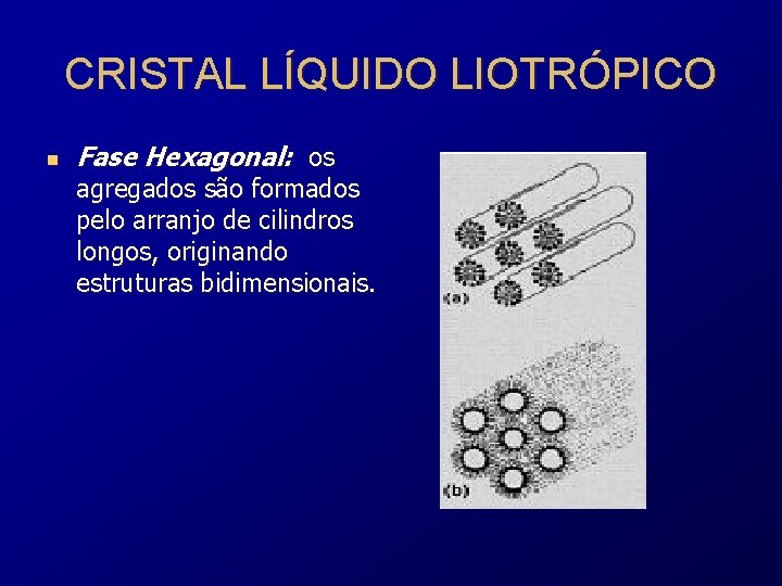 CRISTAL LÍQUIDO LIOTRÓPICO n Fase Hexagonal: os agregados são formados pelo arranjo de cilindros