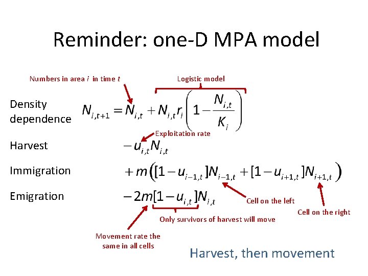 Reminder: one-D MPA model Numbers in area i in time t Logistic model Density