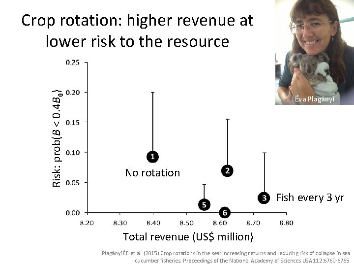 Risk: prob(B < 0. 4 B 0) Crop rotation: higher revenue at lower risk