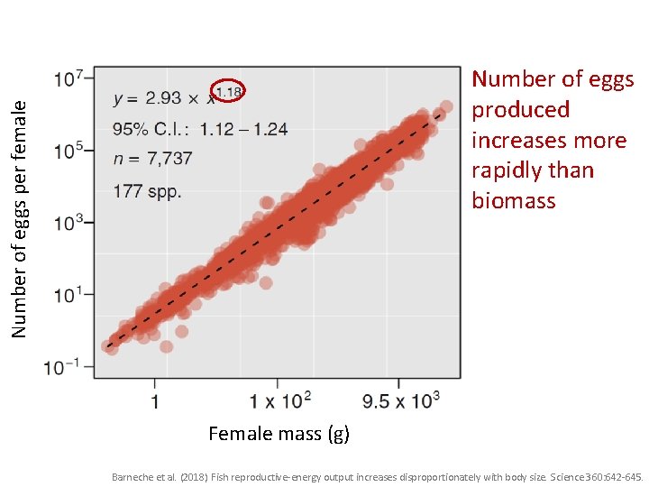 Number of eggs per female Number of eggs produced increases more rapidly than biomass
