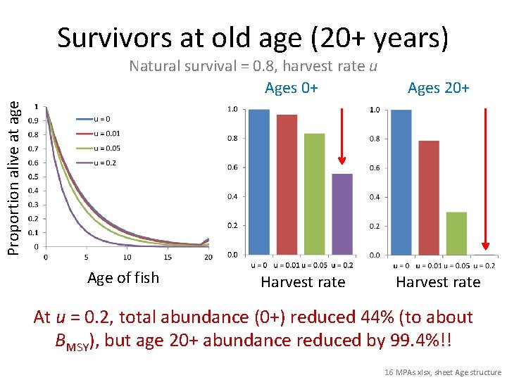 Survivors at old age (20+ years) Ages 20+ Proportion alive at age Natural survival