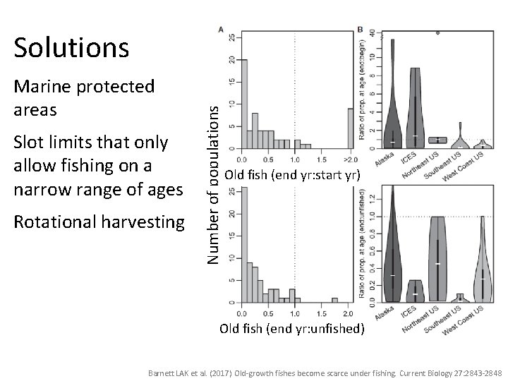 Marine protected areas Slot limits that only allow fishing on a narrow range of