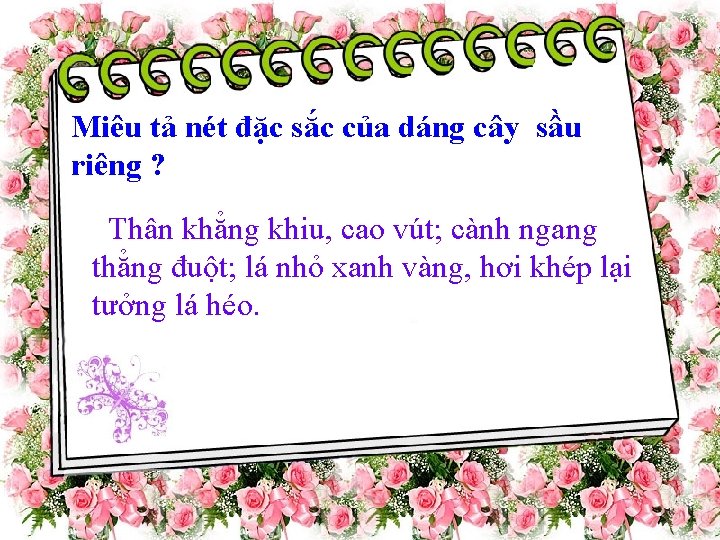 Miêu tả nét đặc sắc của dáng cây sầu riêng ? Thân khẳng khiu,