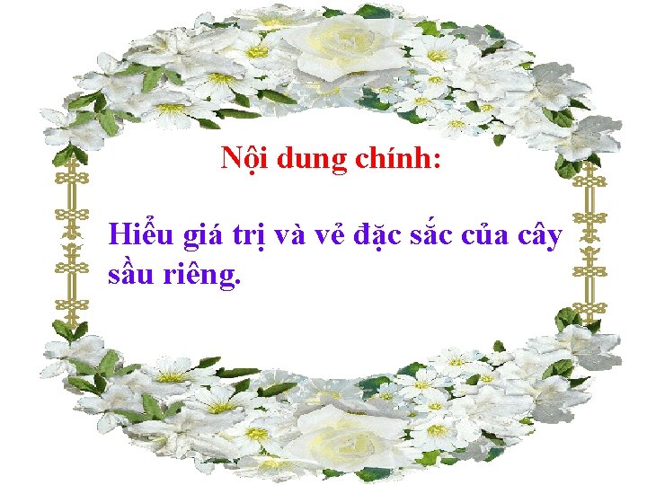 Nội dung chính: Hiểu giá trị và vẻ đặc sắc của cây sầu riêng.