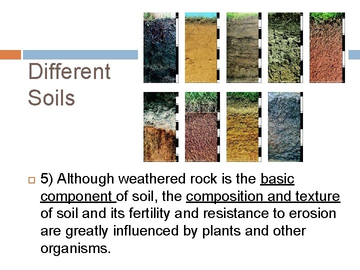 Different Soils 5) Although weathered rock is the basic component of soil, the composition