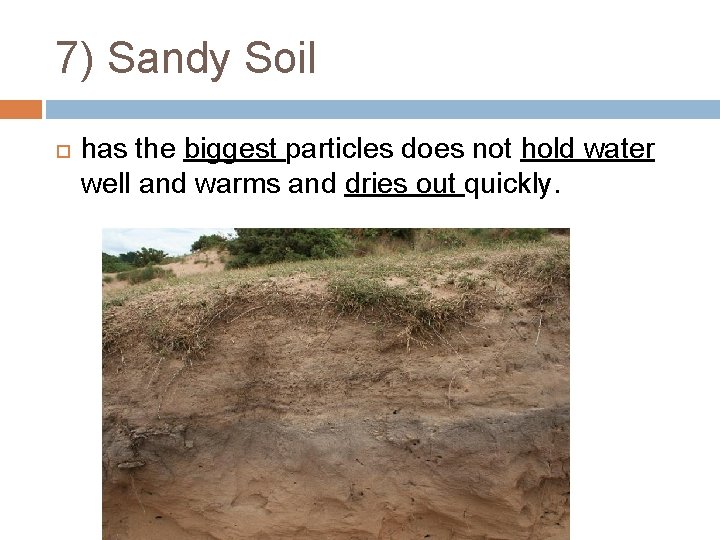 7) Sandy Soil has the biggest particles does not hold water well and warms