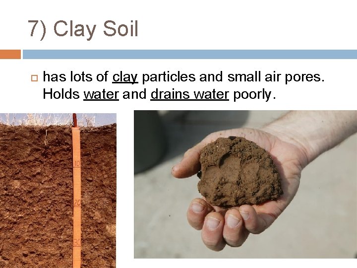 7) Clay Soil has lots of clay particles and small air pores. Holds water
