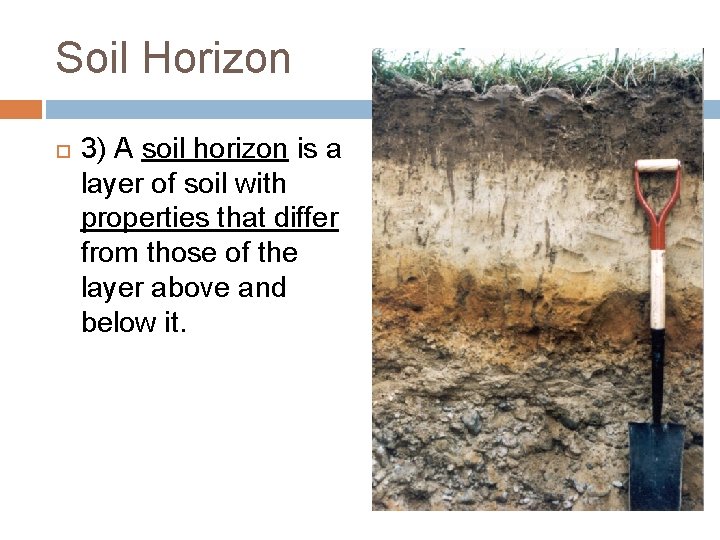 Soil Horizon 3) A soil horizon is a layer of soil with properties that