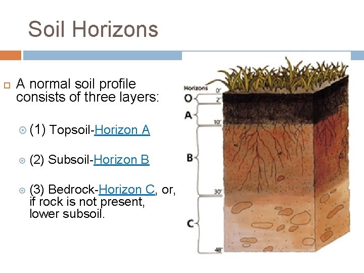 Soil Horizons A normal soil profile consists of three layers: (1) Topsoil-Horizon A (2)