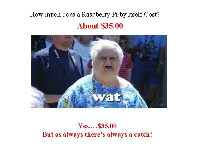 How much does a Raspberry Pi by itself Cost? About $35. 00 Yes…. $35.