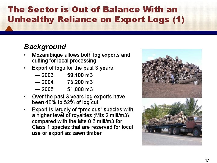 The Sector is Out of Balance With an Unhealthy Reliance on Export Logs (1)