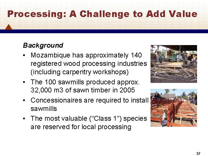 Processing: A Challenge to Add Value Background • Mozambique has approximately 140 registered wood