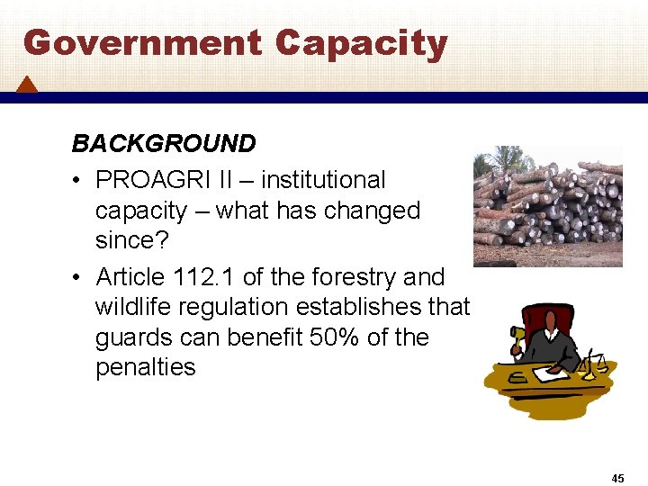 Government Capacity BACKGROUND • PROAGRI II – institutional capacity – what has changed since?