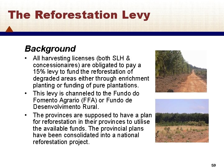 The Reforestation Levy Background • All harvesting licenses (both SLH & concessionaires) are obligated