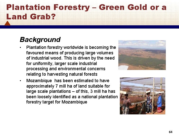 Plantation Forestry – Green Gold or a Land Grab? Background • • Plantation forestry
