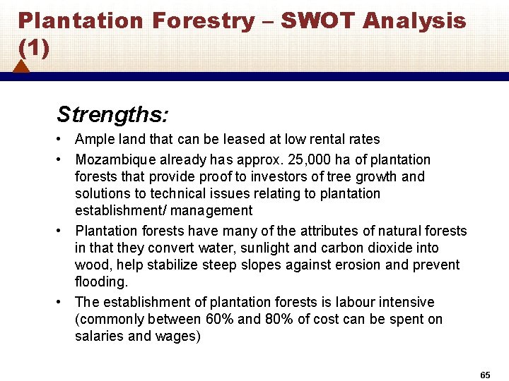 Plantation Forestry – SWOT Analysis (1) Strengths: • Ample land that can be leased