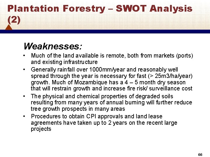 Plantation Forestry – SWOT Analysis (2) Weaknesses: • Much of the land available is