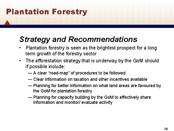 Plantation Forestry Strategy and Recommendations • Plantation forestry is seen as the brightest prospect