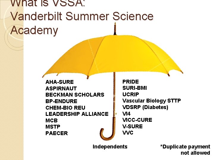 What is VSSA: Vanderbilt Summer Science Academy AHA-SURE ASPIRNAUT BECKMAN SCHOLARS BP-ENDURE CHEM-BIO REU