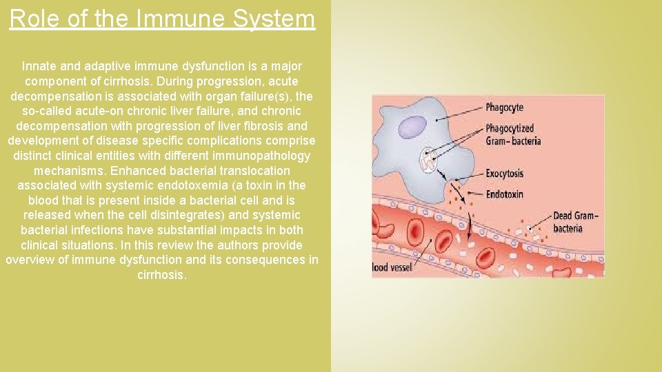 Role of the Immune System Innate and adaptive immune dysfunction is a major component