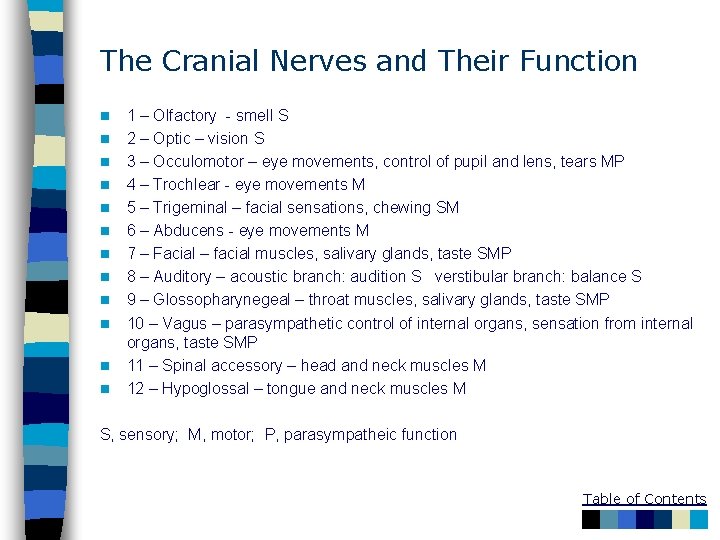 The Cranial Nerves and Their Function n n n 1 – Olfactory - smell