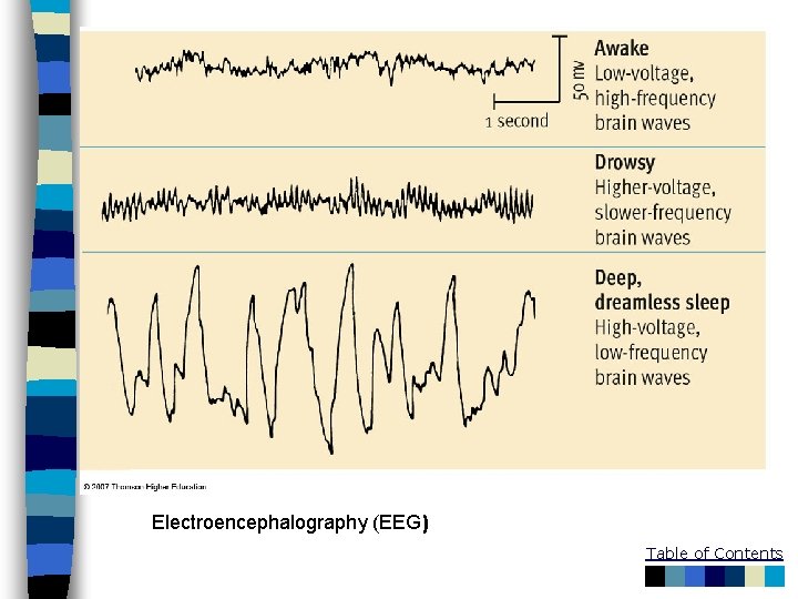 Electroencephalography (EEG) Table of Contents 