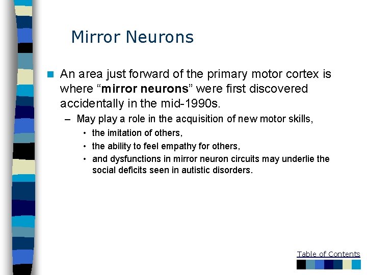 Mirror Neurons n An area just forward of the primary motor cortex is where