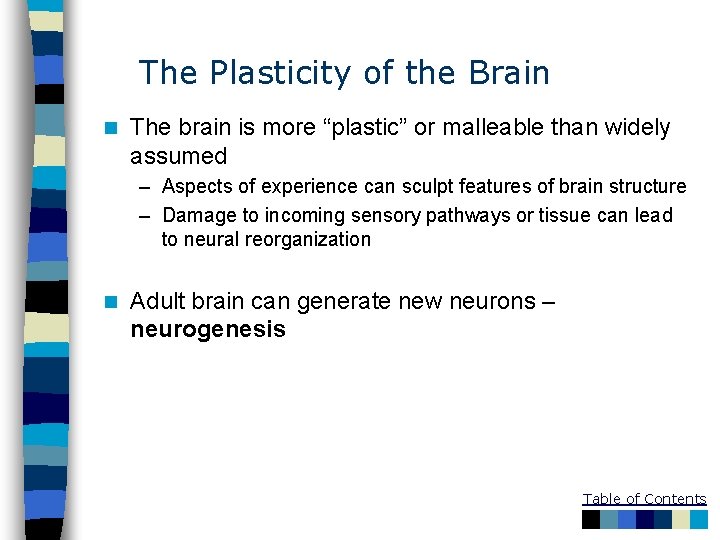 The Plasticity of the Brain n The brain is more “plastic” or malleable than