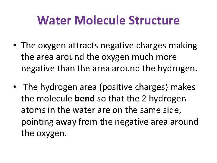 Water Molecule Structure • The oxygen attracts negative charges making the area around the