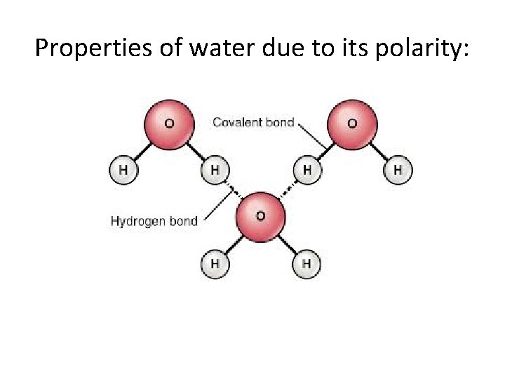 Properties of water due to its polarity: 