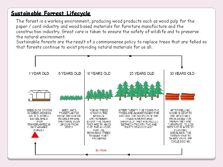Sustainable Forrest Lifecycle The forest is a working environment, producing wood products such as