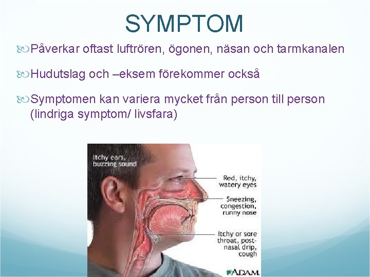 SYMPTOM Påverkar oftast luftrören, ögonen, näsan och tarmkanalen Hudutslag och –eksem förekommer också Symptomen