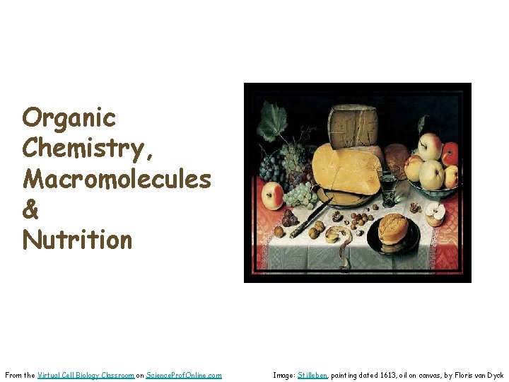 Organic Chemistry, Macromolecules & Nutrition From the Virtual Cell Biology Classroom on Science. Prof.