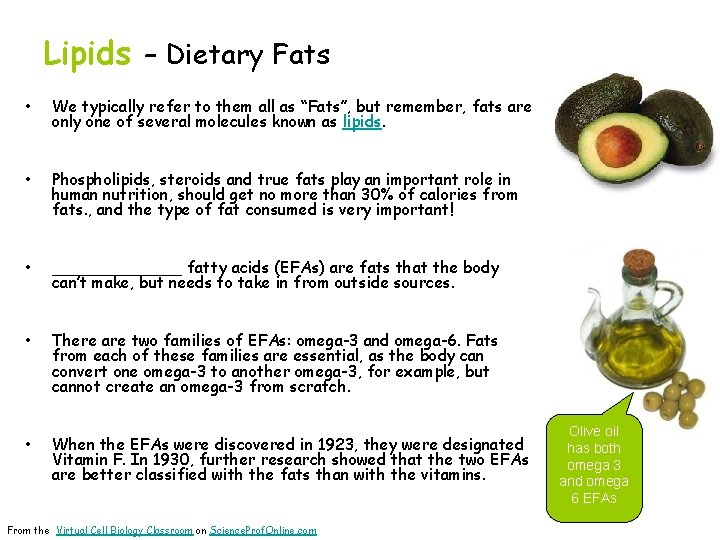 Lipids – Dietary Fats • We typically refer to them all as “Fats”, but