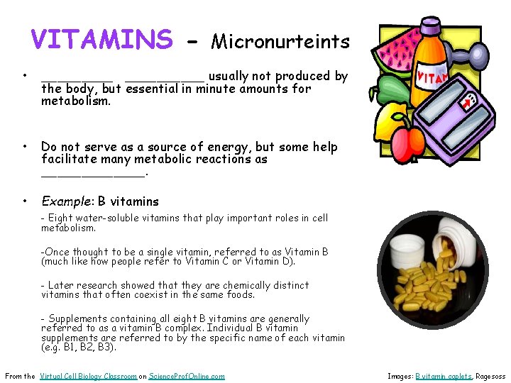 VITAMINS - Micronurteints • __________ usually not produced by the body, but essential in