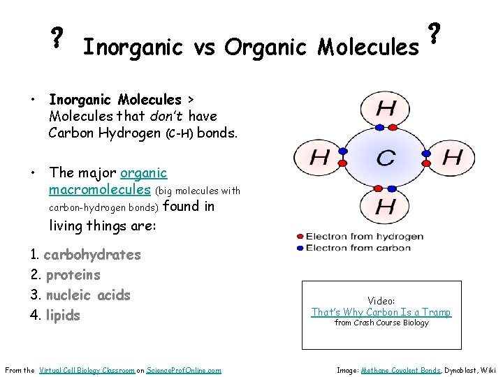 ? ? Inorganic vs Organic Molecules • Inorganic Molecules > Molecules that don’t have