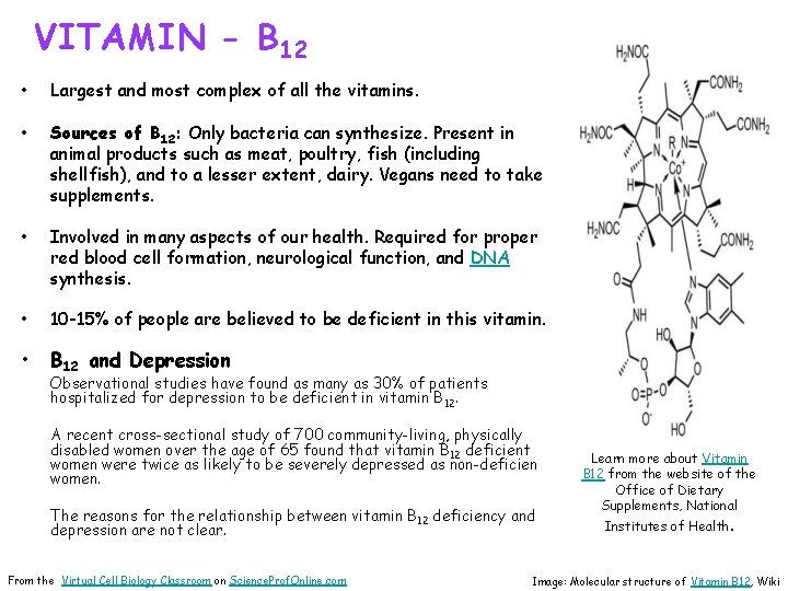 VITAMIN - B 12 • Largest and most complex of all the vitamins. •