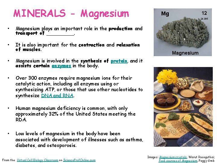 MINERALS - Magnesium • Magnesium plays an important role in the production and transport