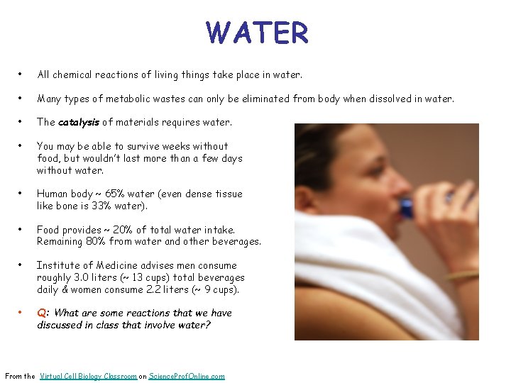 WATER • All chemical reactions of living things take place in water. • Many