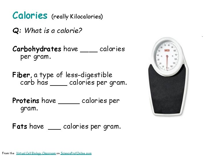 Calories (really Kilocalories) Q: What is a calorie? Carbohydrates have ____ calories per gram.