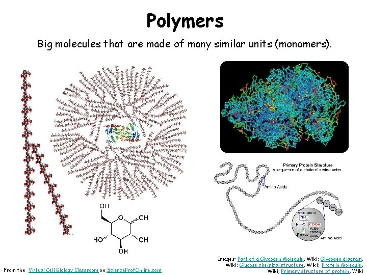 Polymers Big molecules that are made of many similar units (monomers). From the Virtual