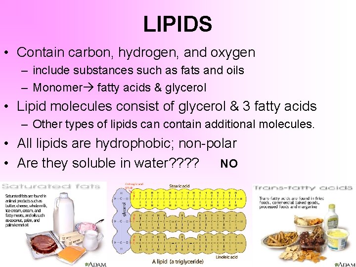 LIPIDS • Contain carbon, hydrogen, and oxygen – include substances such as fats and