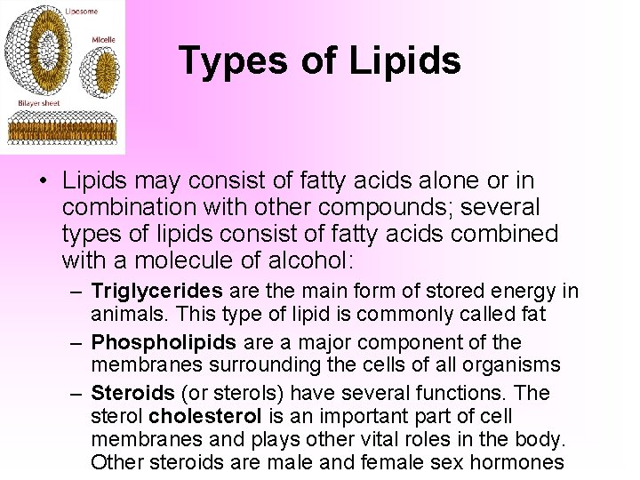 Types of Lipids • Lipids may consist of fatty acids alone or in combination