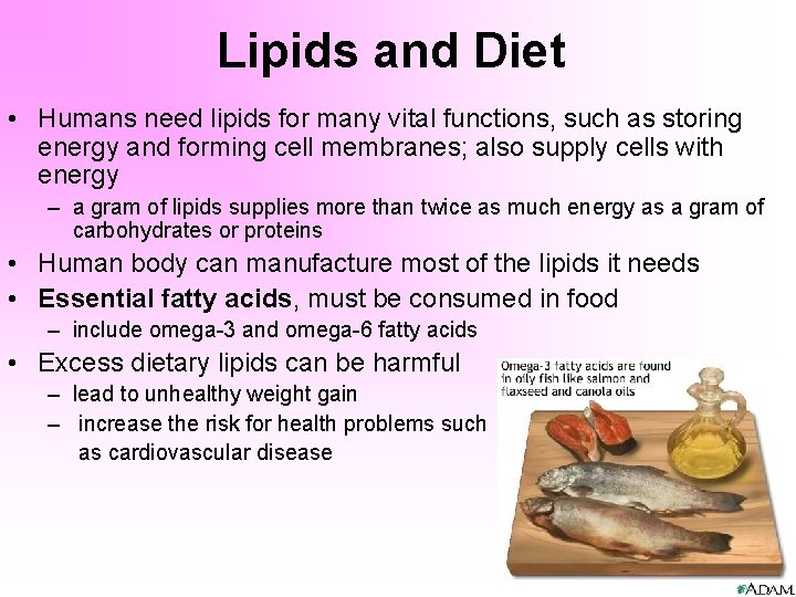 Lipids and Diet • Humans need lipids for many vital functions, such as storing