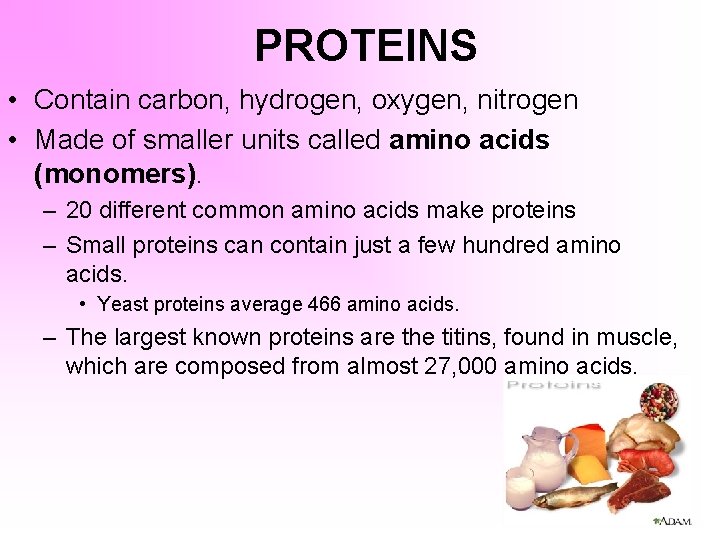PROTEINS • Contain carbon, hydrogen, oxygen, nitrogen • Made of smaller units called amino