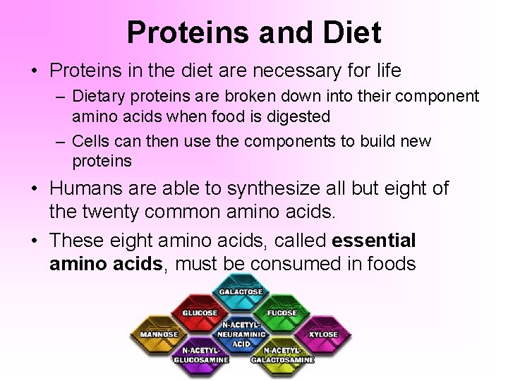 Proteins and Diet • Proteins in the diet are necessary for life – Dietary